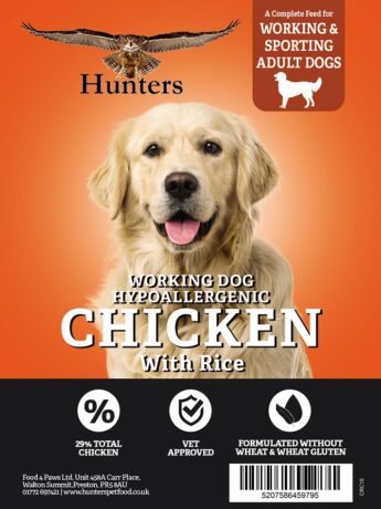 hunters working dog chicken and rice
