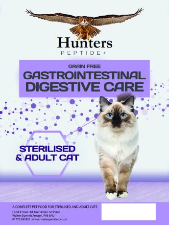 Peptide+ Cat - Gastrointestinal Digestive Care
